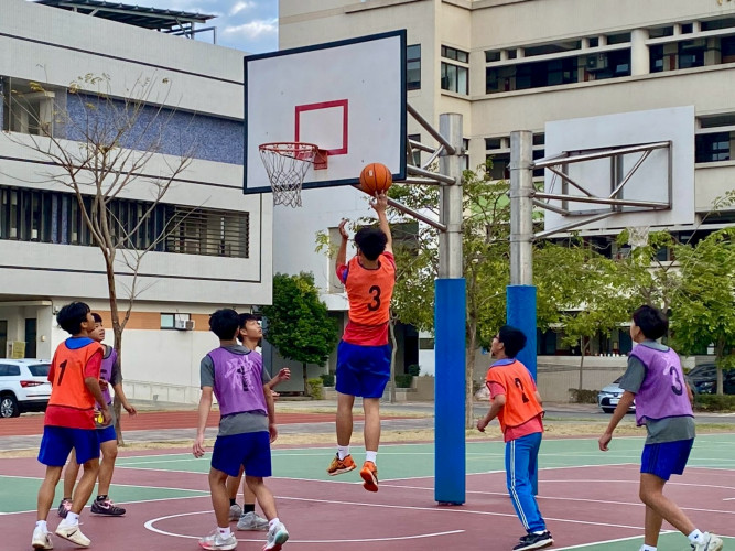 編號215圖片連結的縮圖