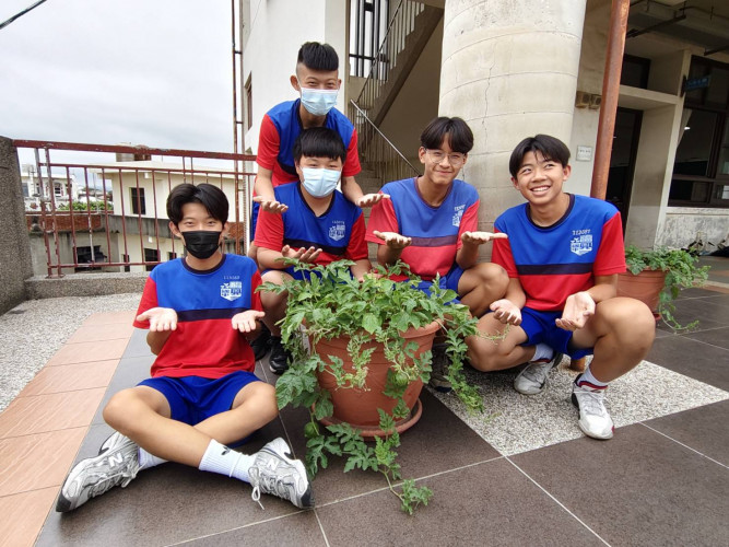 編號518圖片連結的縮圖